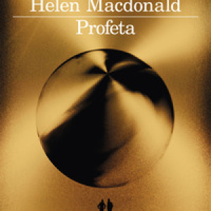 Profeta