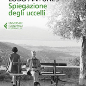 Spiegazione degli uccelli
