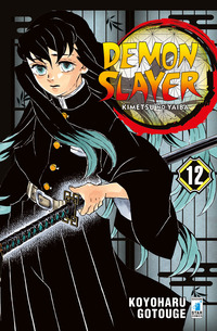 Demon slayer. Kimetsu no yaiba - Vol. 12