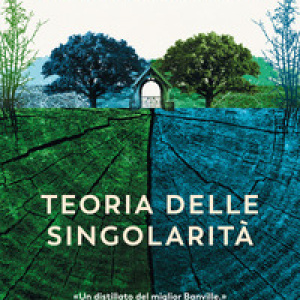Teoria delle singolarità