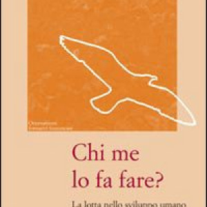 Chi me lo fa fare? La lotta nello sviluppo umano e spirituale di Francesco d'Assisi