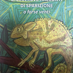 Diciannove racconti di sparizione. O forse venti