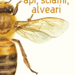 Api, sciami, alveari