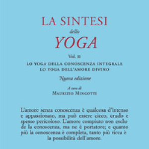 La sintesi dello yoga - Vol. 2
