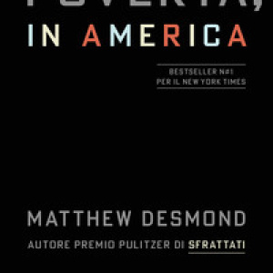Povertà, in America