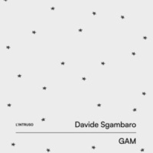 Intruso. Davide Sgambaro. Ediz. italiana e inglese