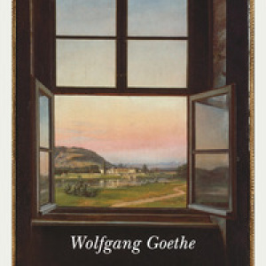 Wilhelm Meister-Gli anni dell'apprendistato