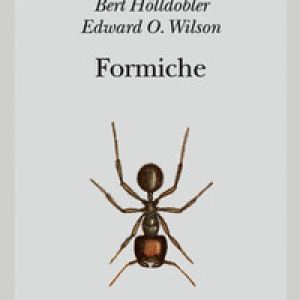 Formiche. Storia di un'esplorazione scientifica