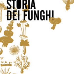 Storia dei funghi