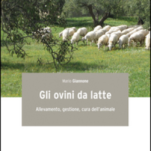 Gli ovini da latte. Allevamento, gestione, cura dell'animale