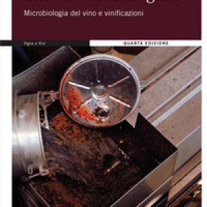 Trattato di enologia - Vol. 1