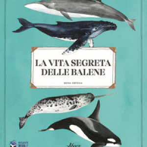 La vita segreta delle balene
