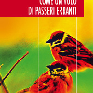 Come un volo di passeri erranti