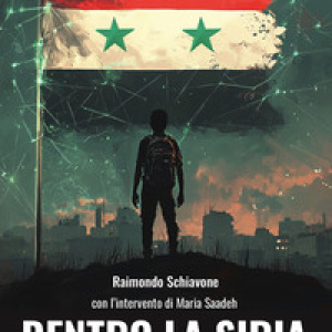 Dentro la Siria. Dall'aggressione alla caduta di Assad. Viaggio all'interno di uno Stato mal trattato