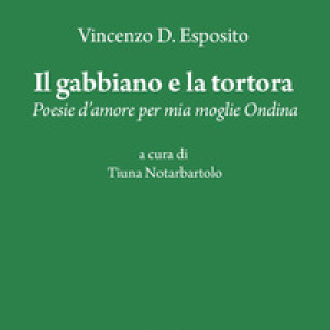 Il gabbiano e la tortora