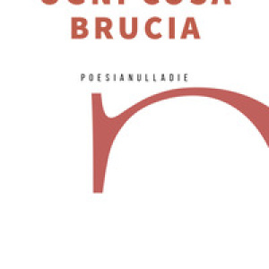 Ogni cosa brucia