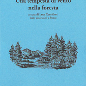 Una tempesta di vento nella foresta. Testo americano a fronte