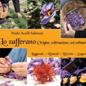 Lo zafferano. Origine, coltivazione, usi culinari