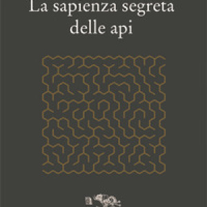 La sapienza segreta delle api