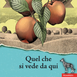 Quel che si vede da qui