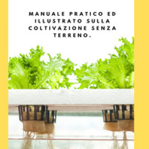 Idroponica. Manuale pratico ed illustrato sulla coltivazione senza terreno. Con progetti reali per la costruzione del tuo giardino idroponico