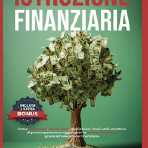 Istruzione finanziaria
