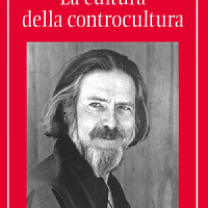 La cultura della controcultura