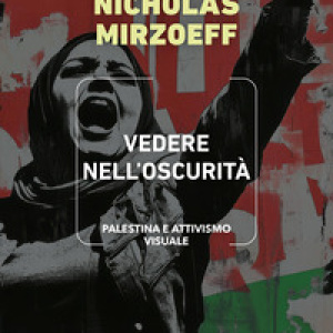 Vedere nell'oscurità. Palestina e attivismo visuale