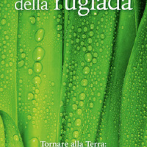 La lezione della rugiada. Tornare alla Terra: dall'esperienza di Fukuoka al risveglio interiore