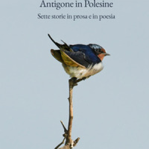 Antigone in Polesine. Sette storie in prosa e in poesia