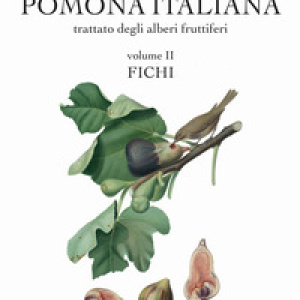 Pomona italiana ossia Trattato degli alberi fruttiferi - Vol. 2