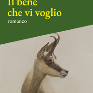 Il bene che vi voglio