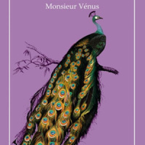 Monsieur Vénus