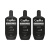 Activeshop Capillus Ultraliss Nanoplastia, Set Per Il Trattamento Di Nanoplastic, 3X400Ml