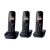 Panasonic kx-tgb613jtb trio cordless dect + 2 aggiuntivi black