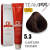 Team 155 tintura 100 ml n 5.3