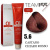 Team 155 tintura 100 ml n 5.6