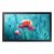 Samsung qb13r-m 33 display 13“ led wi-fi 500 cd-mÂ² full hd nero tizen 4.0