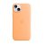 Apple iphone 15 plus custodia magsafe in silicone orange sorbet