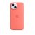 Apple iphone 15 custodia magsafe in silicone guava