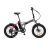 Argento mini max bici elettrica pieghevole 250w ruote da 20 x 4 velocita` 25 km/h autonomia 30/70 km freni a disco grigio