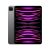 Apple ipad pro 11 2022 2.000gb wi-fi italia space gray