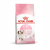Royal Canin Kitten Secco per Gattini – 2 Kg