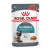 Royal Canin Hairball Care con Carni Miste Umido per Gatti – 85 g, 12 pezzi