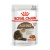 Royal Canin Ageing +12 con Carni Miste Umido per Gatti – 85 g, 12 pezzi