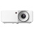 Optoma videoproiettore zw340e, wxga, 3600 lumen, laser, 300.000:1