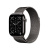 Apple watch series 11 gps + cellular 42mm slate titanium gehäuse mit slate milanese loop