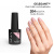 MNP MESAUDA GELEGANT Smalto in gel 8ml 204 Rosetta