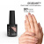 MNP MESAUDA GELEGANT Smalto in gel 8ml 309 Nude