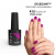 MNP MESAUDA GELEGANT Smalto in gel 8ml 415 Pussycat